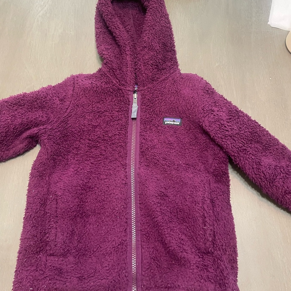 Patagonia Deep Purple Fleece Hoodie